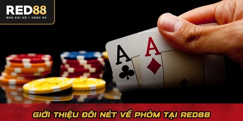 choi-vi-tien-hay-choi-vi-dam-me-chan-dung-nhung-cao-thu-tham-lang