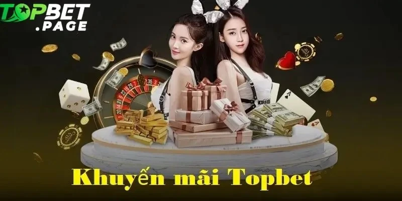 phan-tich-ty-le-no-hu-giua-topbet-va-cac-nen-tang-truyen-thong-dau-la-su-khac-biet