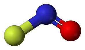 NOF-Nitrosyl+florua-1865