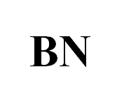 BN-Bo+nitrua-1510