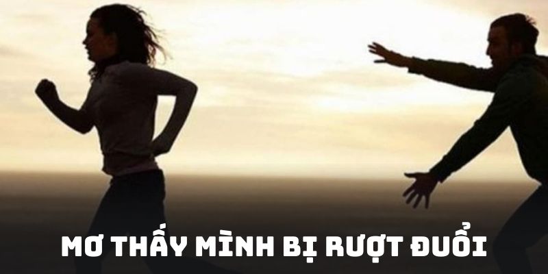 mo-thay-minh-bi-ruot-duoi-giai-ma-chiem-bao-va-con-so-2712