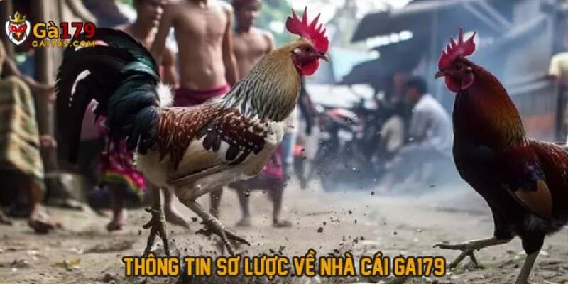 nha-cai-ga179-trong-nam-2025-va-cai-nhin-tong-quan-2821