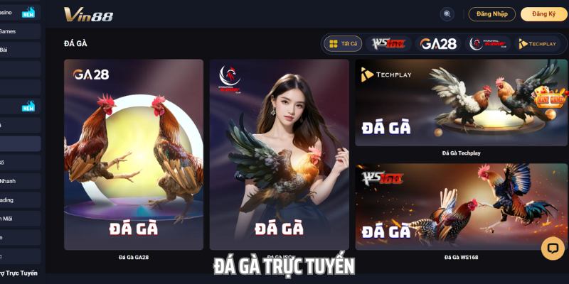 da-ga-truc-tuyen-hinh-thuc-cuoc-an-khach-tai-san-choi-vin88-2840