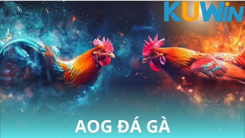 sanh-aog-da-ga-khong-gian-ca-cuoc-thu-hut-so-1-hien-nay-3125