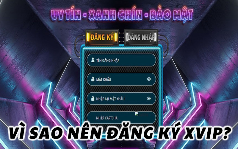 dang-ky-xvip--thao-tac-tro-thanh-hoi-vien-chinh-thuc-3304