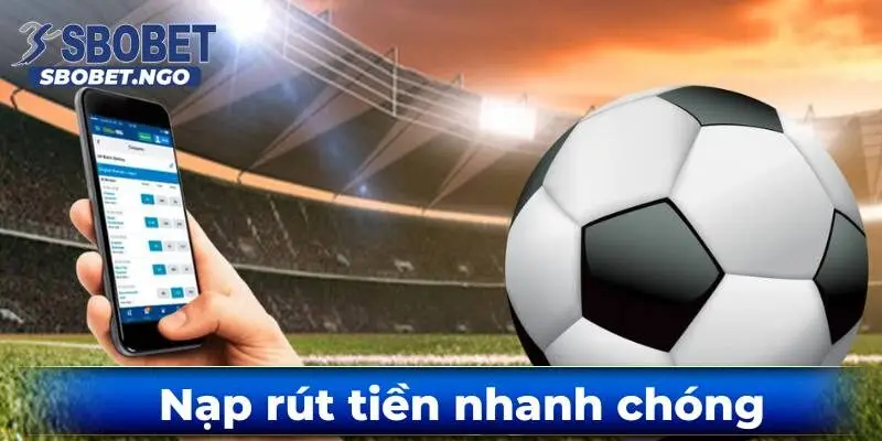 gioi-thieu-sbobet--dinh-cao-giai-tri-ca-cuoc-truc-tuyen-3563