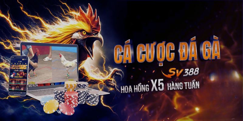rut-tien-sv388-huong-dn-quy-trinh-doi-thuong-an-toan-3802
