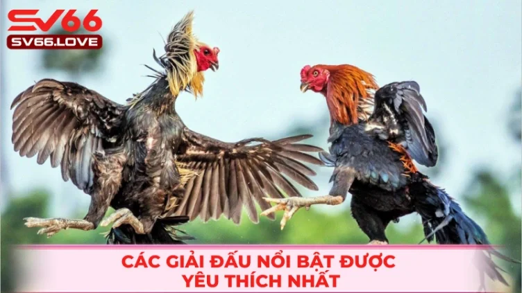da-ga-sv66--trai-nghiem-truong-ga-that-ngay-tren-man-hinh-4654