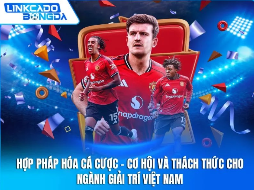 hop-phap-hoa-ca-cuoc--co-hoi-va-thach-thuc-cho-nganh-giai-tri-viet-nam-5425