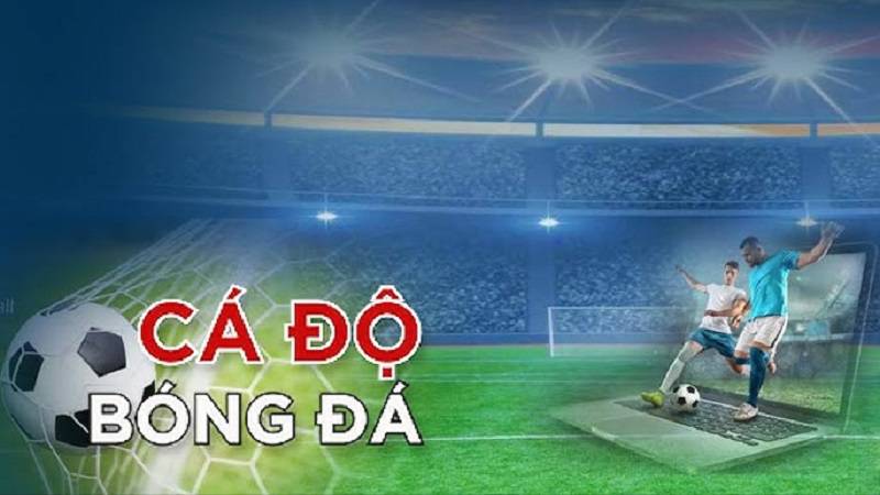 hinh-anh-the-thao-868vip-diem-den-ly-tuong-cho-bet-thu-nam-2025-3871-1