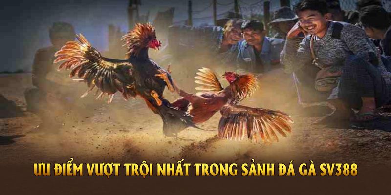 hinh-anh-da-ga-sv388-va-nhung-uu-dai-hap-dn-danh-cho-ban-2025-3764-1