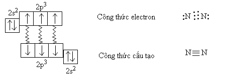 hinh-anh-bai-10-nito-318-1