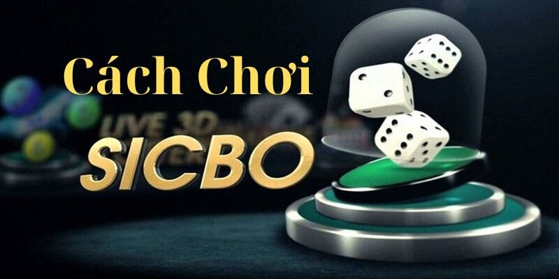 hinh-anh-cach-choi-sicbo-tai-xiu-nam-luat-lac-xuc-xac-va-dat-cuoc-chuan-0