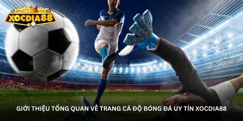 hinh-anh-trang-ca-do-bong-da-uy-tin-xocdia88-noi-hoi-tu-cac-tran-cau-dinh-cao-0