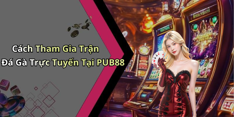 hinh-anh-da-ga-pub88-kham-pha-the-gioi-giai-tri-dinh-cao-tai-day-0