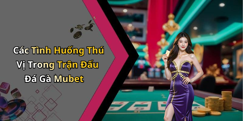 hinh-anh-da-ga-mubet-su-hoi-sinh-cua-tro-choi-dam-chat-giai-tri-1