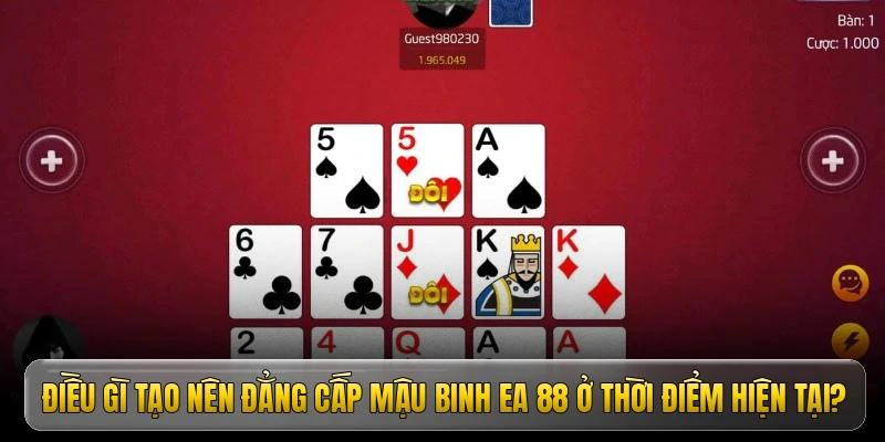 hinh-anh-mau-binh-ea-88-bi-quyet-sap-xep-bai-dinh-cao-nhan-thuong-lon-17030-1