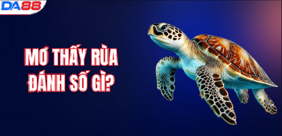 hinh-anh-mo-thay-rua-danh-so-gi-con-so-tai-loc-giup-ban-doi-doi-17380-0
