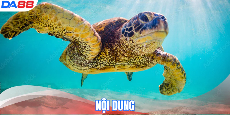 hinh-anh-mo-thay-rua-danh-so-gi-con-so-tai-loc-giup-ban-doi-doi-17380-3