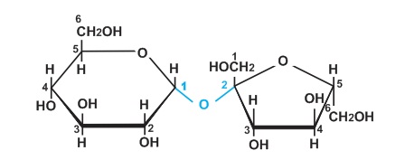 hinh-anh-bai-6-saccarozo-376-0