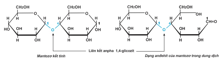 hinh-anh-bai-6-saccarozo-376-2