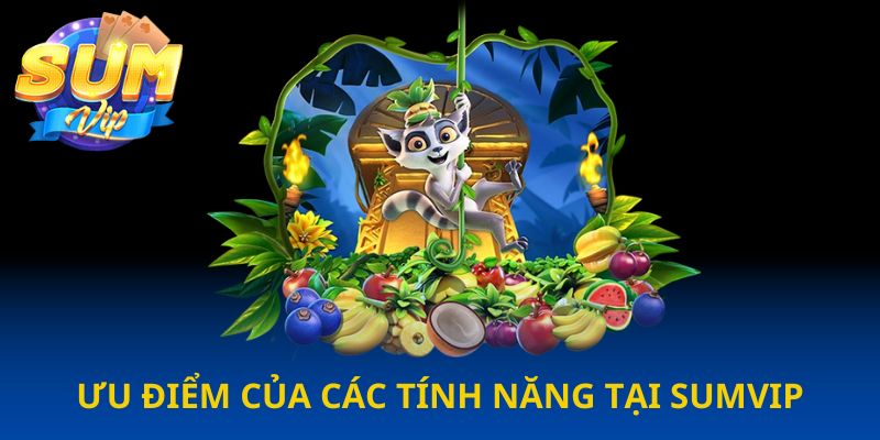 hinh-anh-tinh-nang-sumvip-kham-pha-dieu-chua-biet-3754-1