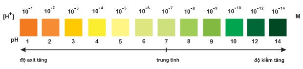 hinh-anh-bai-4-su-dien-li-cua-nuoc-ph-chat-chi-thi-axit-bazo-312-1