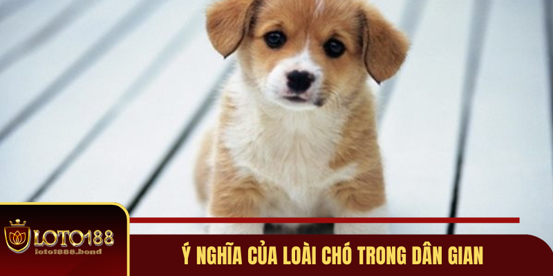 hinh-anh-nam-mo-thay-cho-danh-con-gi-de-nhanh-giau-nhat-2025-3905-0