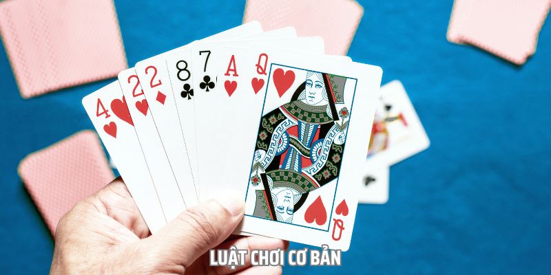 hinh-anh-hoc-cach-choi-bai-tien-len-dem-la-tu-co-ban-den-nang-cao-2762-1