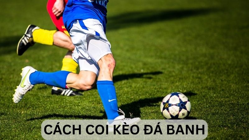 hinh-anh-huong-dn-ca-cuoc-bong-da-tai-ku88-va-doc-keo-mot-cach-chuan-xac-3456-0