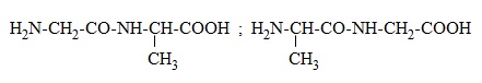 hinh-anh-bai-13-peptit-va-protein-381-2