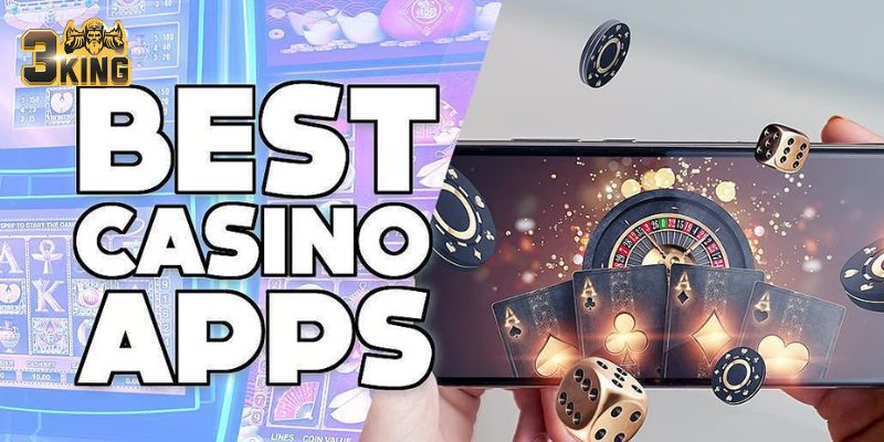 hinh-anh-top-uu-diem-khi-tai-app-3king-danh-cho-bet-thu-chi-tiet-3658-0