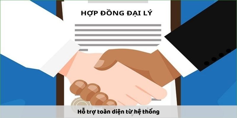 hinh-anh-dai-ly-rikvip--co-hoi-kiem-tien-hap-dn-va-ben-vung-2780-1
