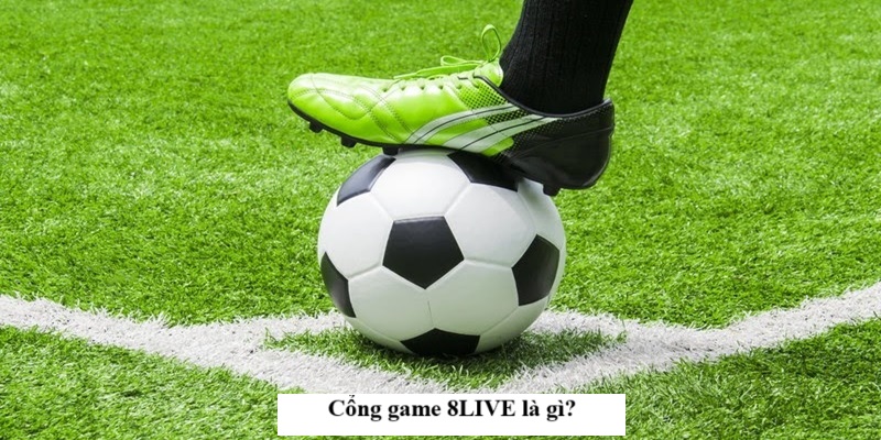 hinh-anh-ly-do-nguoi-choi-ca-cuoc-tin-chon-8live-hang-dau-2480-0