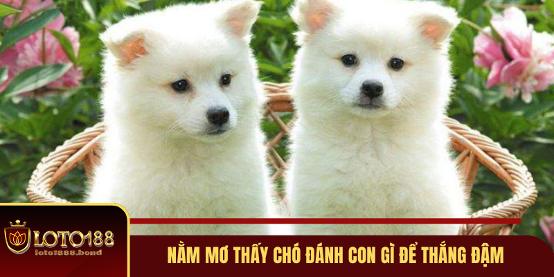 hinh-anh-nam-mo-thay-cho-danh-con-gi-de-nhanh-giau-nhat-2025-3905-2