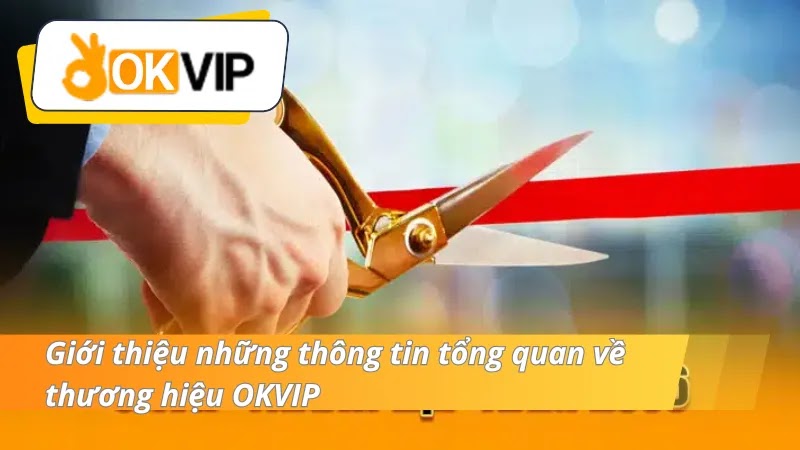 hinh-anh-okvip-lien-minh-nha-cai-uy-tin-duoc-nguoi-choi-tin-cay-3074-0