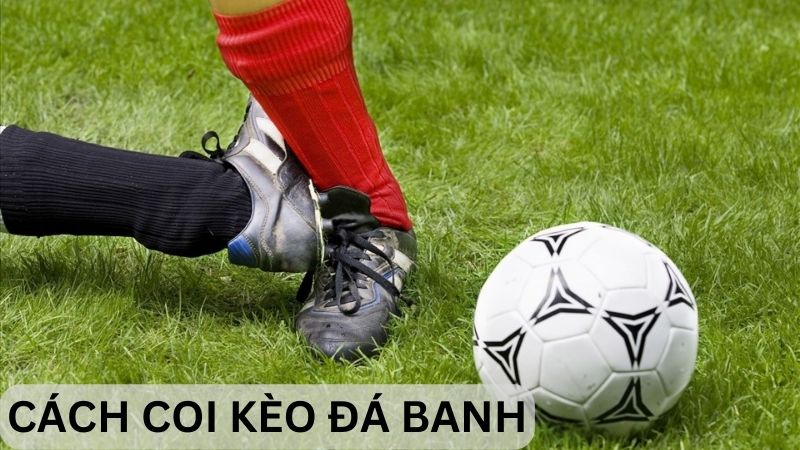 hinh-anh-huong-dn-ca-cuoc-bong-da-tai-ku88-va-doc-keo-mot-cach-chuan-xac-3456-2