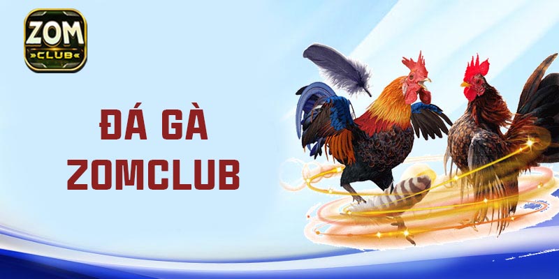 hinh-anh-da-ga-online-tai-zomclub--tran-dia-kich-tinh-cho-dan-choi-dich-thuc-3475-0