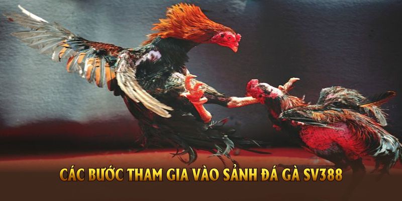 hinh-anh-da-ga-sv388-va-nhung-uu-dai-hap-dn-danh-cho-ban-2025-3764-2