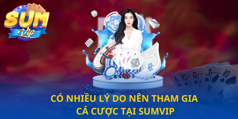 hinh-anh-tinh-nang-sumvip-kham-pha-dieu-chua-biet-3754-2