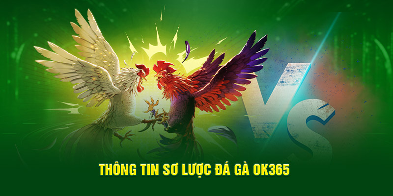 hinh-anh-da-ga-ok365--san-choi-truc-tuyen-dinh-cao-ty-le-cuoc-hap-dn-3717-0
