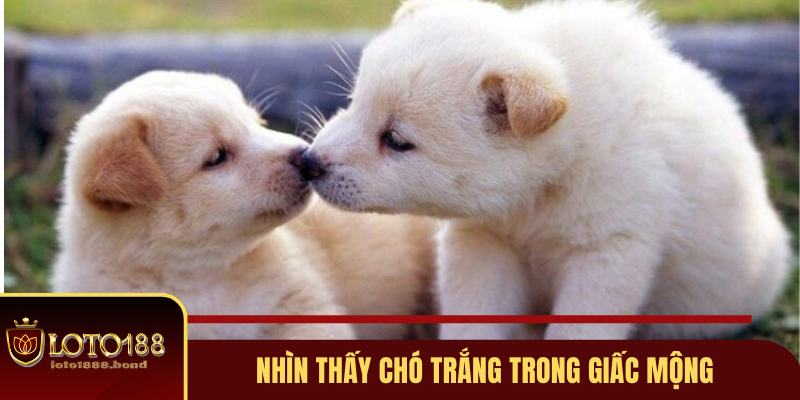 hinh-anh-nam-mo-thay-cho-danh-con-gi-de-nhanh-giau-nhat-2025-3905-1