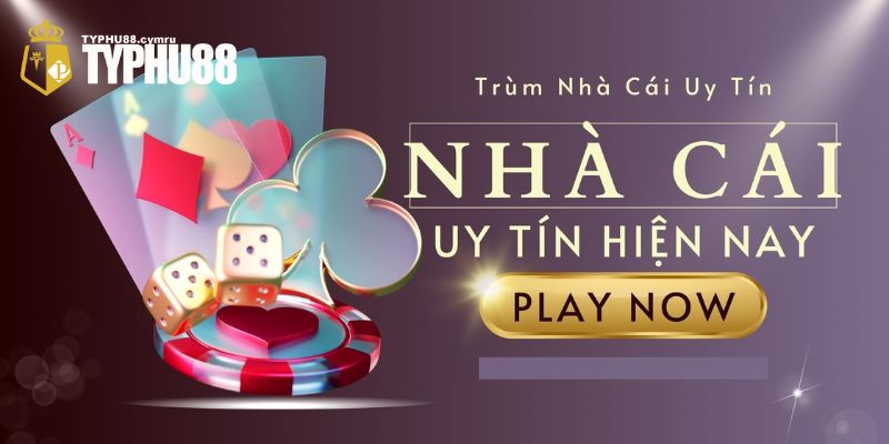 hinh-anh-top-5-nha-cai-uy-tin-duoc-yeu-thich-nhat-viet-nam-2024-2558-0