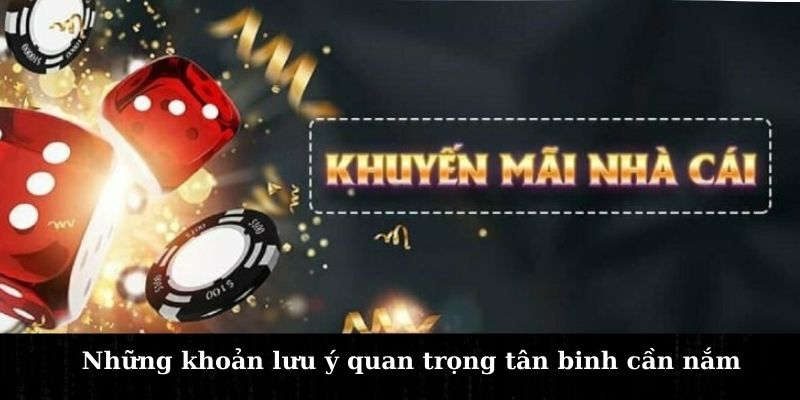 hinh-anh-009bet-tang-50k-chuong-trinh-sieu-uu-dai-chua-tung-co-2567-2