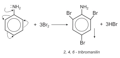 hinh-anh-chuong-3-bai-11-amin-379-6