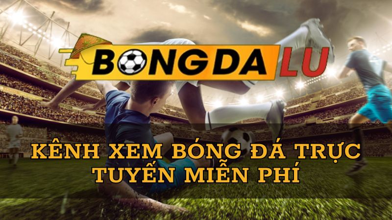 hinh-anh-livescore-bongdalu-cong-cu-than-thanh-cho-cuoc-thu-muon-cap-nhat-ty-so-nhanh-nhu-chop-3079-2