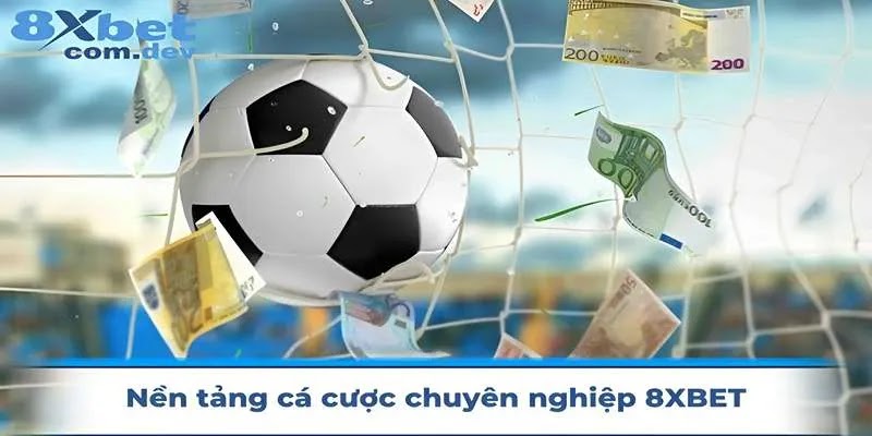 hinh-anh-gioi-thieu-8xbet-nen-tang-ca-cuoc-hang-dau-chau-a-42025-3735-0