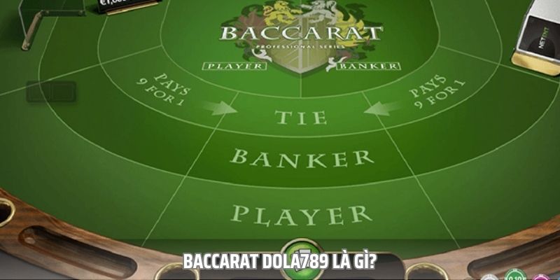 hinh-anh-bo-tui-kien-thuc-baccarat-dola789-cua-cac-cao-thu-ky-cuu-4930-0