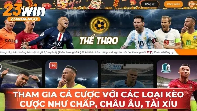 hinh-anh-meo-ca-cuoc-the-thao-23win-danh-cho-nguoi-moi--dat-cua-co-tinh-toan-4587-1