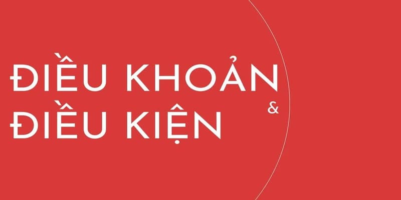 hinh-anh-dieu-khoan-va-dieu-kien-fm88--quy-dinh-quan-trong-can-biet-3207-0